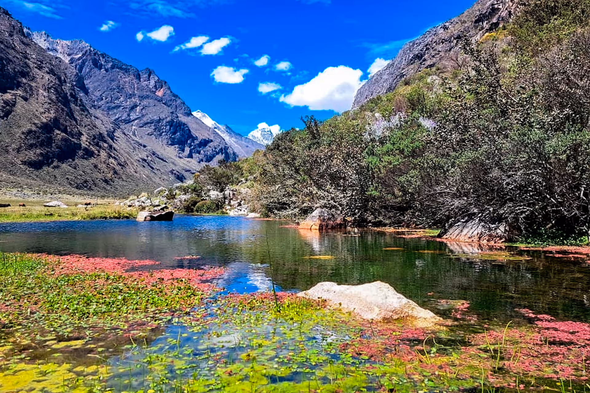 CIRCUITO COMPLETO CORDILLERA BLANCA 1