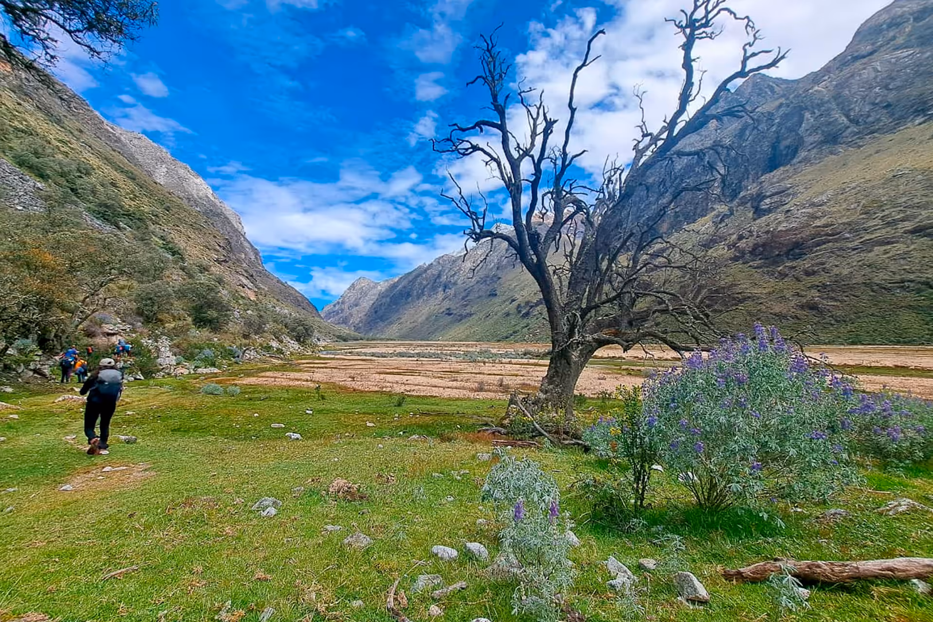 CIRCUITO COMPLETO CORDILLERA BLANCA 8
