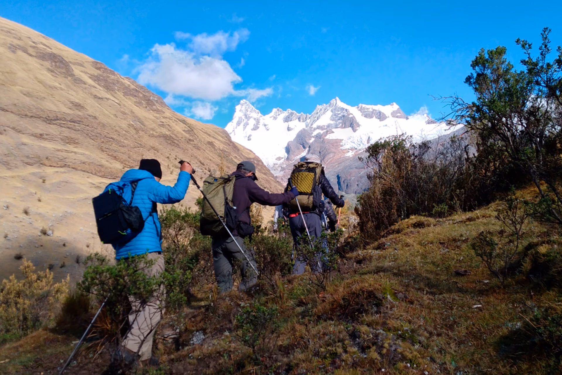 LOS CEDROS ALPAMAYO 5